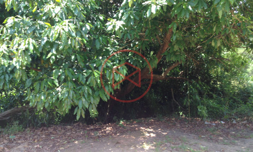 Terreno próximo ao centro de Ibiuna