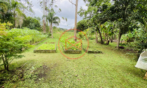 Chacara em Ibiúna!! Interior de SP