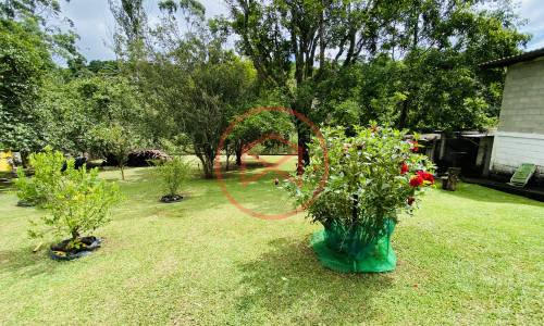 Chacara em Ibiúna!! Interior de SP