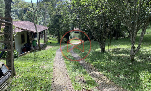 Sítio com 60.000 mts² em Ibiúna! Interior de SP