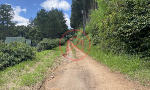 Sítio com 60.000 mts² em Ibiúna! Interior de SP