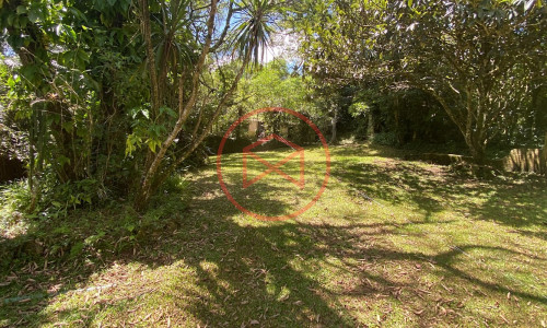 Sítio com 60.000 mts² em Ibiúna! Interior de SP