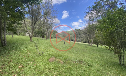 Sítio com 60.000 mts² em Ibiúna! Interior de SP