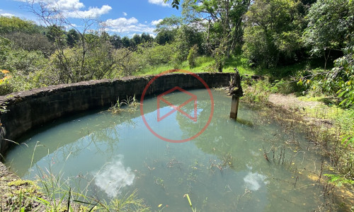 Sítio com 60.000 mts² em Ibiúna! Interior de SP