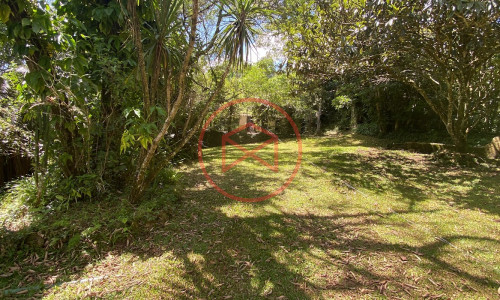 Sítio com 60.000 mts² em Ibiúna! Interior de SP