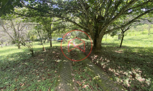 Sítio com 60.000 mts² em Ibiúna! Interior de SP