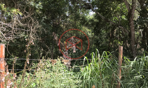 Terreno em Ibiúna antes do Centro!! Interior de SP