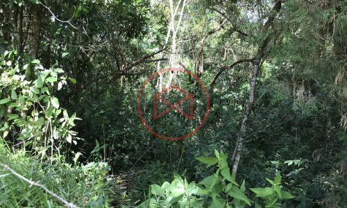 Terreno em Ibiúna antes do Centro!! Interior de SP