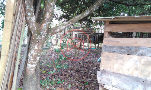 CHÁCARA EM IBIUNA COM 6.967 MTS