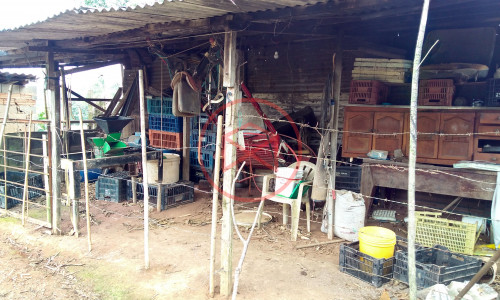 CHÁCARA EM IBIUNA COM 6.967 MTS