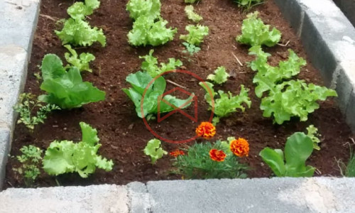 Chácara Antes do Centro de Ibiúna. Interior de SP