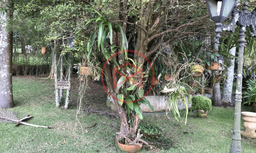 Chácara em Condomínio Antes do Centro!! Interior de SP