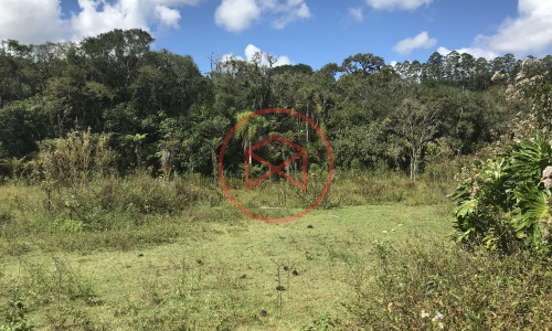 Lote antes do centro!