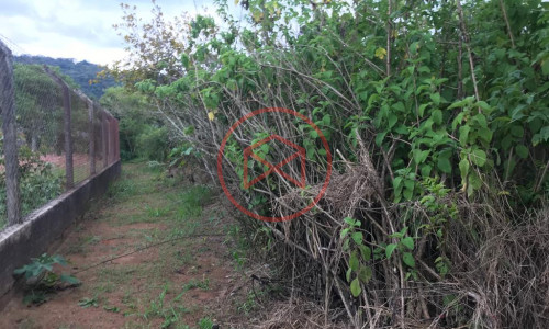 Lote em Loteamento Aberto Ibiúna!!