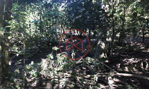 Chácara em Ibiúna, Interior de SP