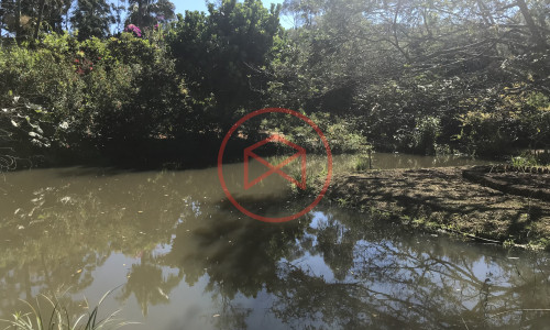 Chácara em Ibiúna, Interior de SP