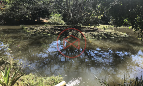 Chácara em Ibiúna, Interior de SP