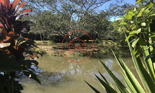 Chácara em Ibiúna, Interior de SP