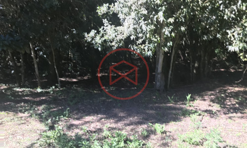 Chácara em Ibiúna, Interior de SP