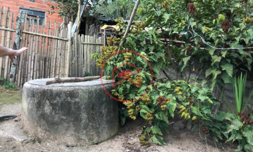 Chácara em Condomínio Fechado!! Interior de SP