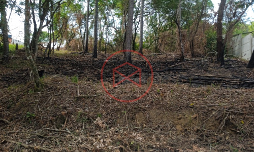 Lote próximo a represa de Ibiúna