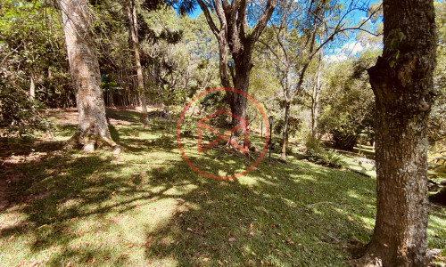 Chácara em Loteamento em Ibiúna!!