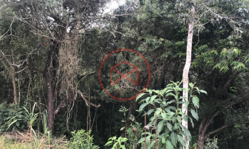 Chácara em Ibiuna!!