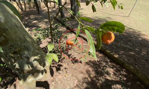 Chácara em Loteamento fechado em Ibiúna Antes do centro.