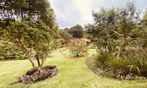 Chácara em Condomínio com 5.000 mts Antes do Centro!!