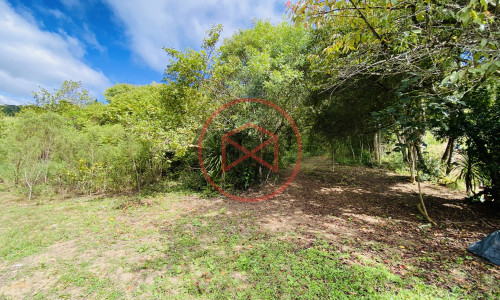 Terreno de 1 alqueire a 500mts do alfalto!