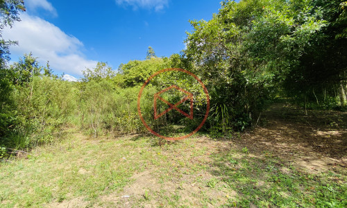 Terreno de 1 alqueire a 500mts do alfalto!