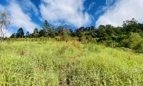 Terreno de 1 alqueire a 500mts do alfalto!