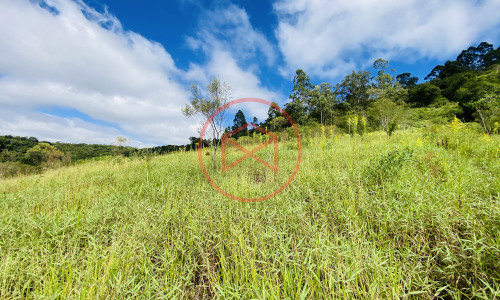 Terreno de 1 alqueire a 500mts do alfalto!