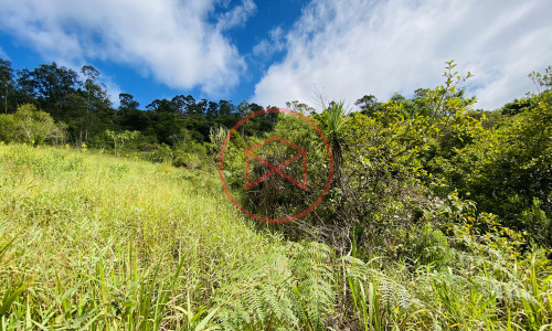 Terreno de 1 alqueire a 500mts do alfalto!