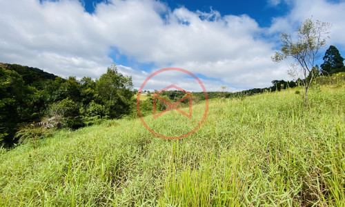 Terreno de 1 alqueire a 500mts do alfalto!