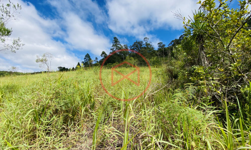 Terreno de 1 alqueire a 500mts do alfalto!