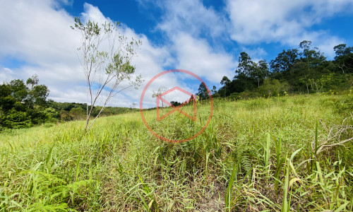 Terreno de 1 alqueire a 500mts do alfalto!
