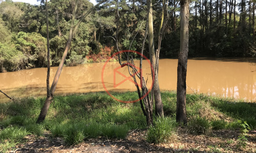 Chácara em Condomínio Antes do Centro!!