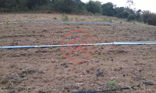 Sítio em Piedade !!