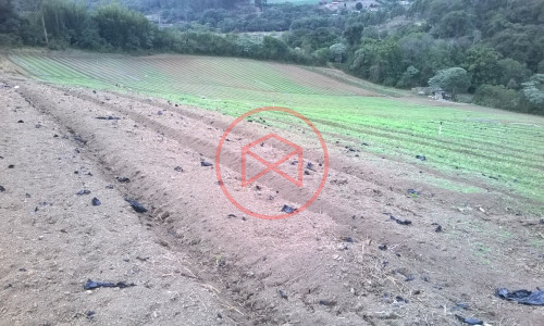 Sítio em Piedade !!