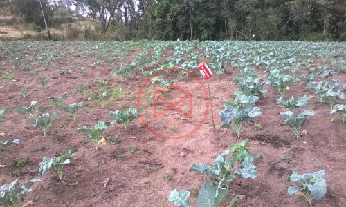 Sítio em Piedade !!