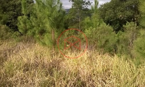 Sítio em Piedade !!