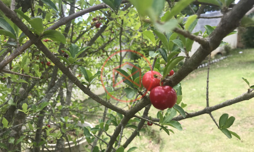 Chácara em Condomínio Fechado!!