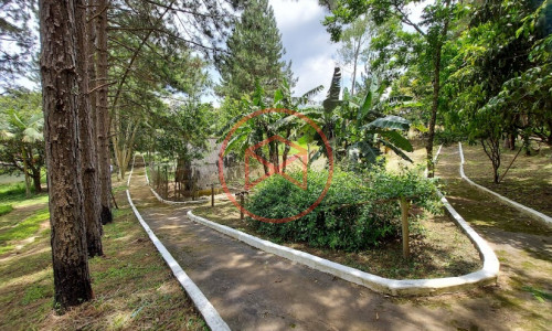 Sítio com 30 mil mts² em Ibiuna!!!