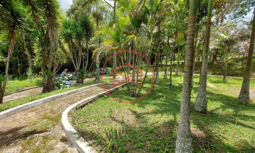 Sítio com 30 mil mts² em Ibiuna!!!