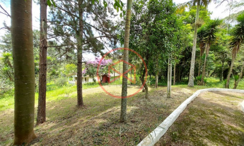 Sítio com 30 mil mts² em Ibiuna!!!