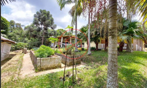 Sítio com 30 mil mts² em Ibiuna!!!