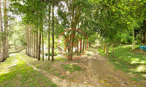 Sítio com 30 mil mts² em Ibiuna!!!