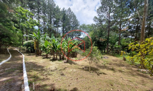 Sítio com 30 mil mts² em Ibiuna!!!