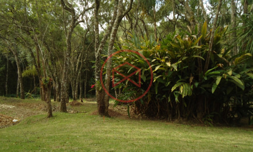 Terreno em Ibiúna!